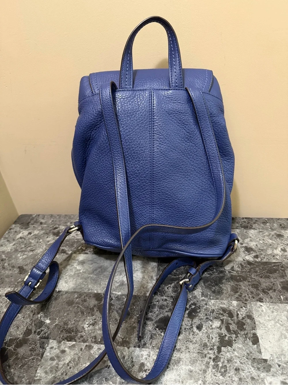 Coach Park Leather Backpack French Blue Royal Teal Lining Mini Shoulder Bag